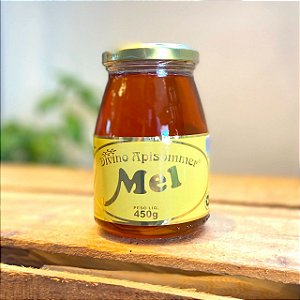 Mel Divino Apisommer - 450g