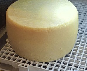 PECORINO *PRODUÇÃO EXCLUSIVA COM LEITE DE OVELHA*