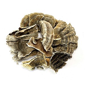 Cogumelo Cauda de Peru Moído. 500g.