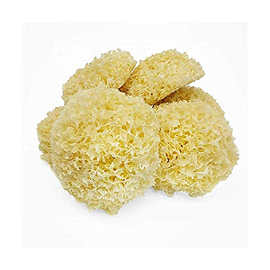 Cogumelo Tremella Desidratado. 500g.