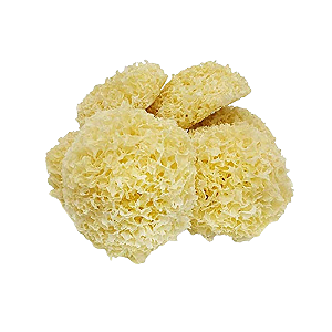 Cogumelo Tremella Desidratado. 500g.