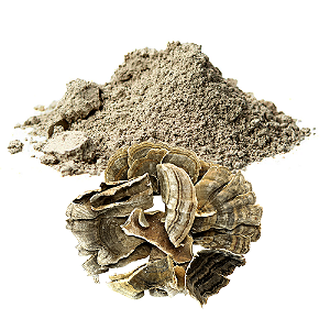 Cogumelo Cauda de Peru em Pó. 500g.