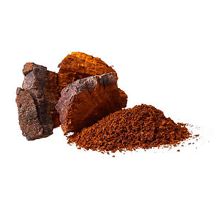 Cogumelo Chaga em Pó. 500g.