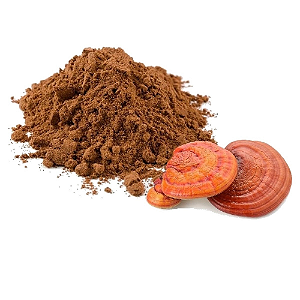 Cogumelo Reishi em Pó. 500g.