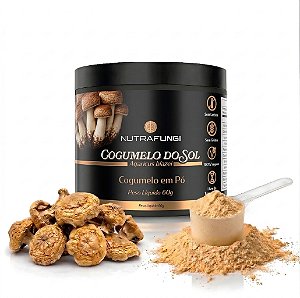 Cogumelo do Sol em Pó. 60g.