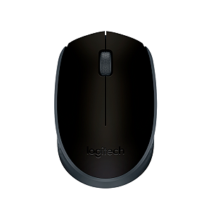 Mouse Logitech Wireless M170 Preto