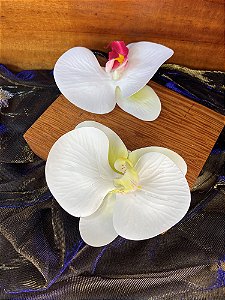 Orquídea Branca