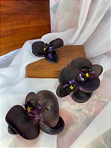 Orquídea Negra