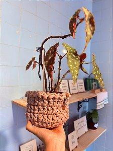 Cachepo rosê crochê