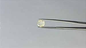 Rutilo Facetado Redondo 8,7 mm