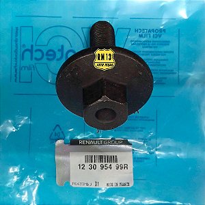 Parafuso Polia Virabrequim Renault 123095499R Original
