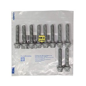 10 Parafusos Tampa Valvulas Astra Vectra Zafira 11098762