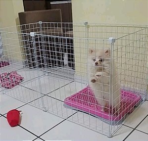 CERCADO PARA CACHORRO DE PEQUENO MÉDIO PORTE (06 TELAS)