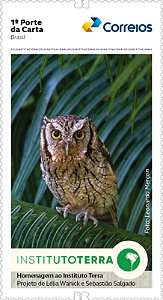 2025 COP30 Institucional Fundação Terra Coruja autoadesivo