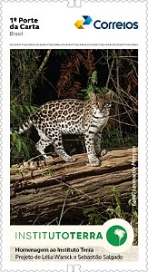 2025 COP30 Institucional Fundação Terra Jaguatirica autoadesivo