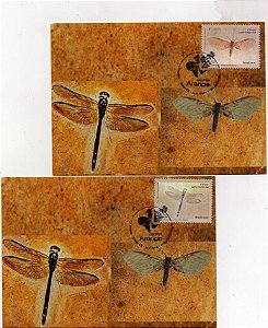 2016 Geopark Araripe conjunto de dois Máximos Postais