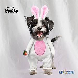 Ref. 01 - Fantasia Coelho