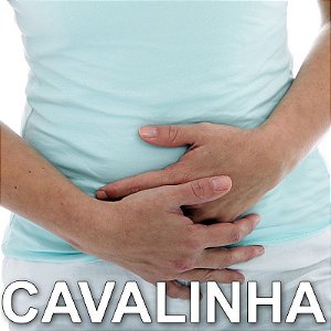 CAVALINHA (Elimina substâncias tóxicas ) 250 mg