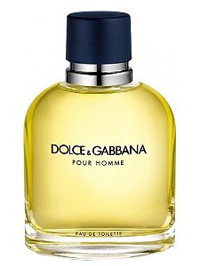 DOLCE GABBANA POUR HOMME MASCULINO EAU DE TOILETTE