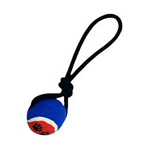 Brinquedo Para Pet Savana Corda Com Bola