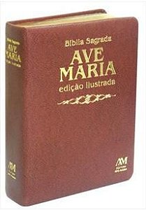 Bíblia sagrada - Edição Ilustrada - Marrom