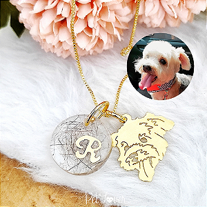 Colar Carinha do Pet Mini + Resina com Pelinhos