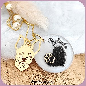 Conjunto Eternize Pet + Resina Banhado a Ouro