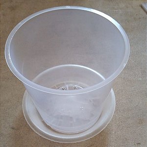 Prato Plástico Transparente 12 cm (médio)