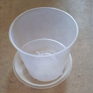 Prato Plástico Transparente 10,5 cm (pequeno)