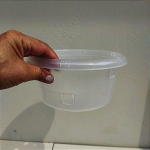 Vaso cuia transparente 20 cm