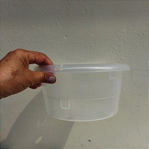 Vaso cuia transparente 23 cm