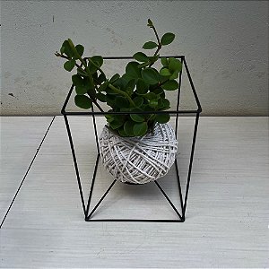 Kokedama de Peperomia tetraphylla Hope com suporte Cubo