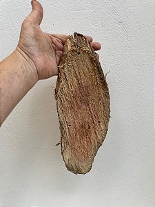 PLACA DE MADEIRA PARA ORQUÍDEA COM GANCHO  15 X 7 CM