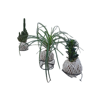 KIT 3 KOKEDAMA: PEIXINHO, PATA DE ELEFANTE E CACTO COM SUPORTE