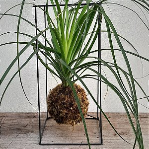 SUPORTE CUBO DE FERRO PRETO GRANDE