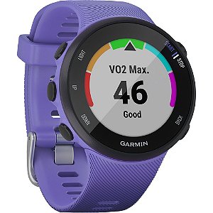 Relógio Smartwatch Garmin Forerunner 45S - Íris (010-02156-11)