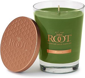 Vela de cera de abelha com essência em vidro Veriglass em favo de mel da Root Candles, grande de hosta