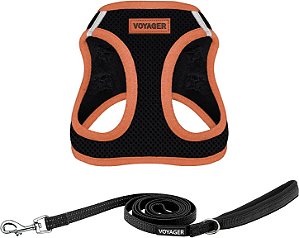 Voyager Passo-a-passo ar Combinação de arreio de malha para todas as condições climáticas e coleira de 5 pés para cães com alça de neoprene, para filhotes de raças pequenas, médias e grandes
