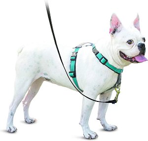 Peitoral para Cachorro 3 em 1 sem Puxar PetSafe - Passeio, Treino ou Viagem - Ajuda a Evitar que os Animais Puxem durante os Passeios - Argola para Cinto de Segurança Também Serve como Al