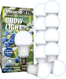 Lâmpada LED Miracle Absolute Daylight Plus para Crescimento com Espectro Azul para Germinação e Início de Plantas Substituindo a Incandescente de 150W (Pacote com 10)