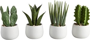 Mini planta suculenta artificial em vaso 47th & Main, conjunto de 4, Cacto/Branco