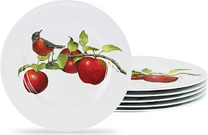 Reston Lloyd Harvest Apple by Sandy Clough, Conjunto de 6 Pratos de Salada de Melamina, branco, vermelho, verde (72999set)