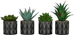 Planta Artificial Pequena de Suculenta com Foliagem Falsa Novogratz com Folhas Realistas e Vaso com Estampa de Folhas, Conjunto de 4 com Altura de 4, 7 e 6, Verde