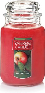 Vela Yankee Candle Macintosh Perfumada, Clássica, Pote Grande de 22oz com um Único Pavio, Mais de 110 Horas de Tempo de Queima