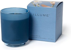 Vela de soja perfumada em vidro Citrus Crush, essencialmente bem feita da Illume.