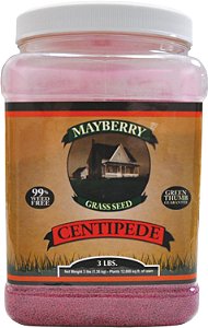Semente de Centopeia Mayberry, 3 Libras
