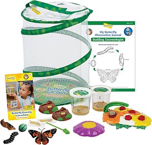 Jardim de Borboletas: Habitat Original e Dois Copos Vivos de Lagartas - com Alimentador de Borboletas de Luxo e Estágios do Ciclo de Vida da Borboleta