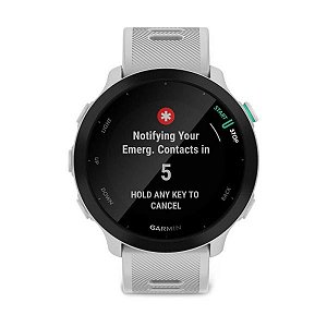 Relógio Smartwatch Garmin Forerunner 955 Solar - Branco (010-02638-01)