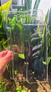 Kit 10 Telhas Romana plastico Thermo formado Transparente Medida 40x23 cm
