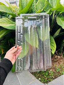 5 Telhas Francesa Carioca P Transparente Plastico (Pet) Med. 40x24 cm